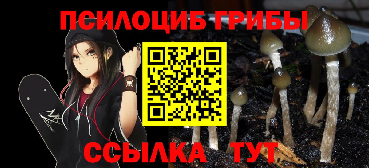 Сызрань  Галлюциногенные грибы ЛСД  Вход с VPN 