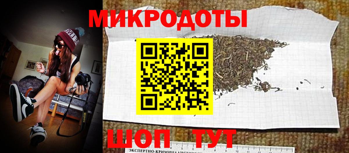 Псилоцибиновые грибы Psilocybe Сызрань